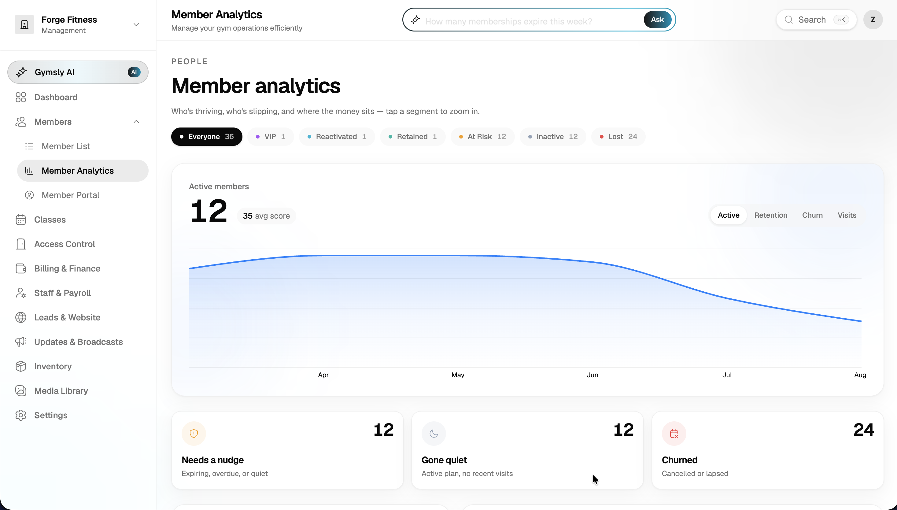 Member analytics with active members chart, at-risk, inactive, and churned segments